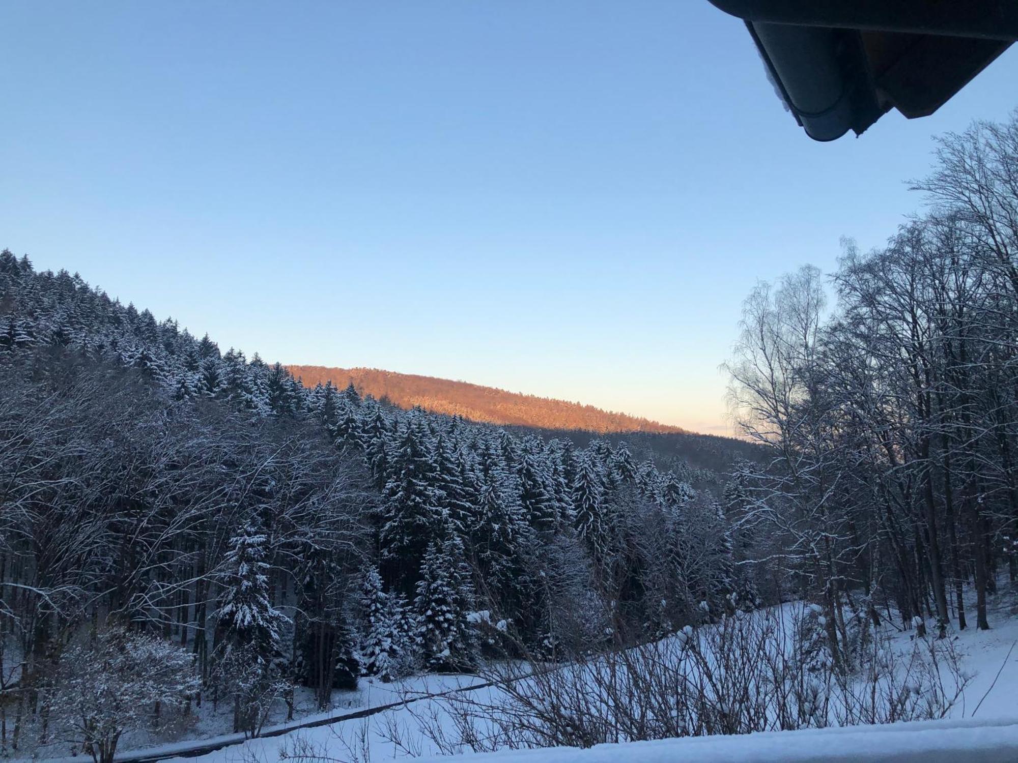 Wald-Hotel Heppe Dammbach Eksteriør billede